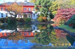 【小石川植物園】秋は紅葉の色づきが高揚させる小石川植物園